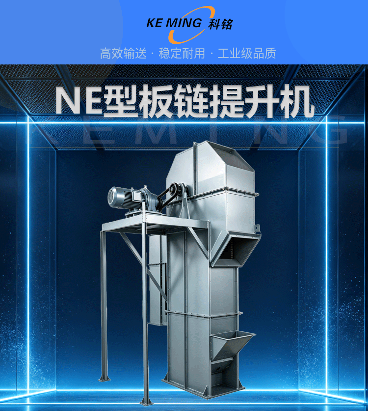 NE终3_01