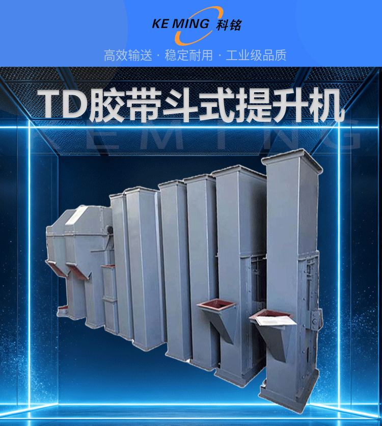 TD终3_01